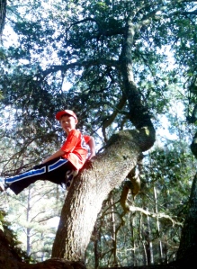 Jake in the front yard. I loved tree climbing and so does he. :-) 